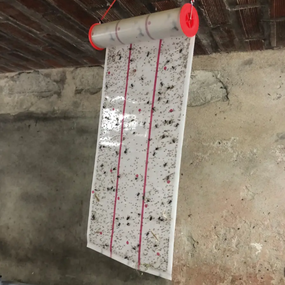 Mušpapīrs rullī MS EcoGlue, 10 m x 25 cm